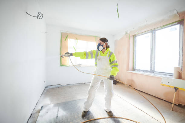 Best Ceiling Drywall Installation  in Storm Lake, IA